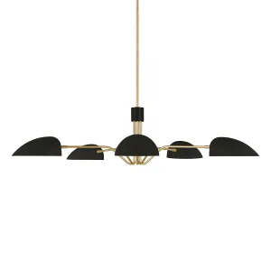 ED Ellen DeGeneres Jane Chandelier
